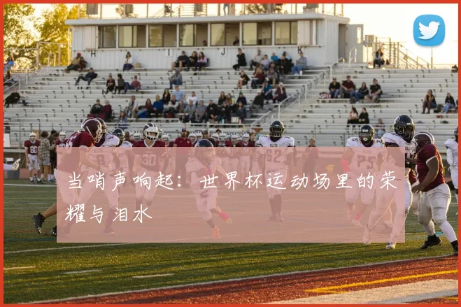 当哨声响起：世界杯运动场里的荣耀与泪水